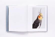 Load image into Gallery viewer, Bird Love