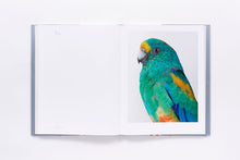 Load image into Gallery viewer, Bird Love