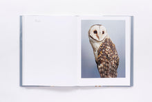 Load image into Gallery viewer, Bird Love