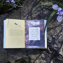 Load image into Gallery viewer, A Little Book of Japanese Contentments