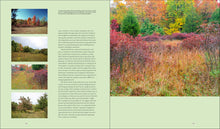 Load image into Gallery viewer, Garden Revolution
