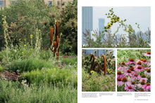 Load image into Gallery viewer, Gardens of the High Line