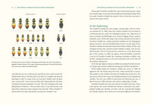 Load image into Gallery viewer, Our Native Bees