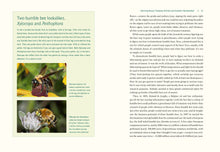 Load image into Gallery viewer, Our Native Bees