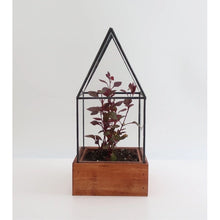 Load image into Gallery viewer, Cape Cod Terrarium