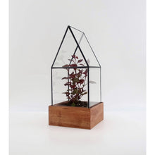 Load image into Gallery viewer, Cape Cod Terrarium