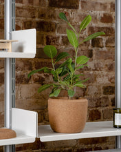 Load image into Gallery viewer, Cloud Planter