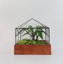 Load image into Gallery viewer, Cottage Terrarium