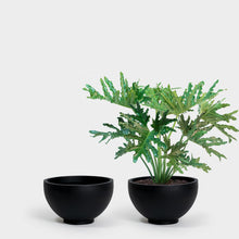 Load image into Gallery viewer, The Milton Planter