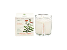 Load image into Gallery viewer, Plant the Box 10oz Candle Collection