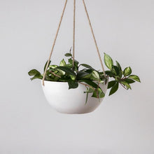 Load image into Gallery viewer, Cloud Hanging Planter