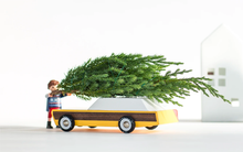 Load image into Gallery viewer, Woodie