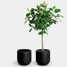 Load image into Gallery viewer, The Wythe Planter