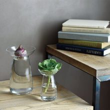 Load image into Gallery viewer, Aqua Vase