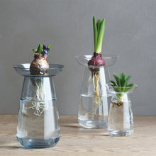 Load image into Gallery viewer, Aqua Vase