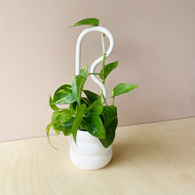 Load image into Gallery viewer, Bobby Pin Plant Stake