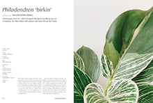 Load image into Gallery viewer, Plantopedia