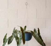 Load image into Gallery viewer, Clifton Hanging Plant Pot
