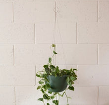 Load image into Gallery viewer, Clifton Hanging Plant Pot