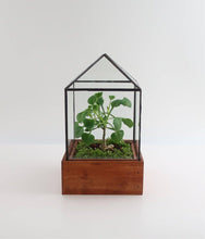 Load image into Gallery viewer, Little House Terrarium