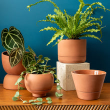 Load image into Gallery viewer, Varick Self Watering Planter