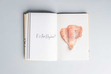 Load image into Gallery viewer, Intuitive Alphabet