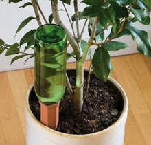 Load image into Gallery viewer, Watering Plant Stake
