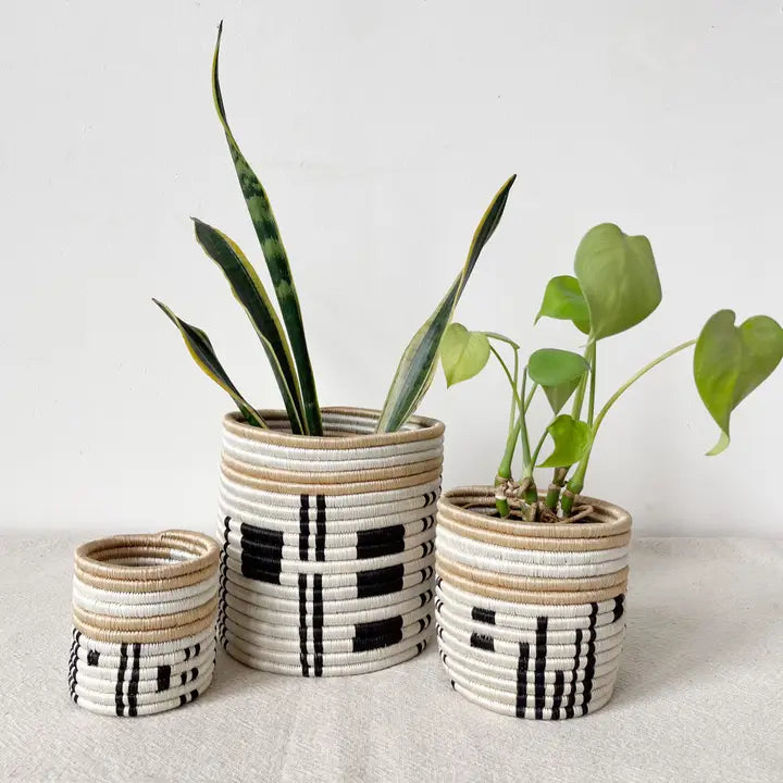 Busengo Basket Planter