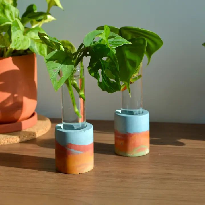 Rainbow Concrete Vase Propagation Station