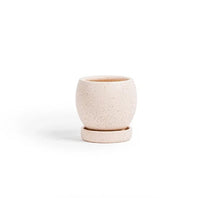 Load image into Gallery viewer, 4.25&quot; Bollè Planter
