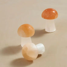 Load image into Gallery viewer, Selenite Mushroom
