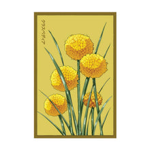 Load image into Gallery viewer, Shido Seeds Packet
