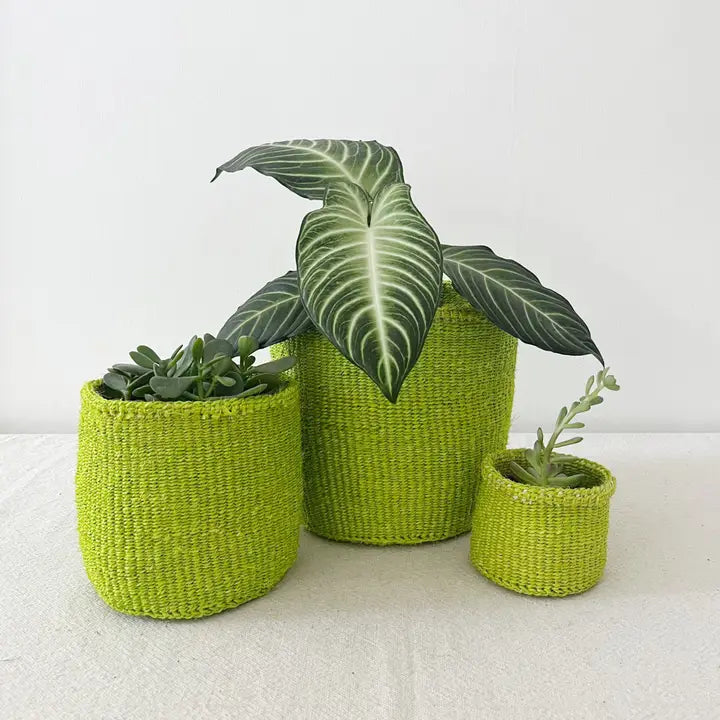 Lime Storage Basket โ Geometry Garden & Floral Shop
