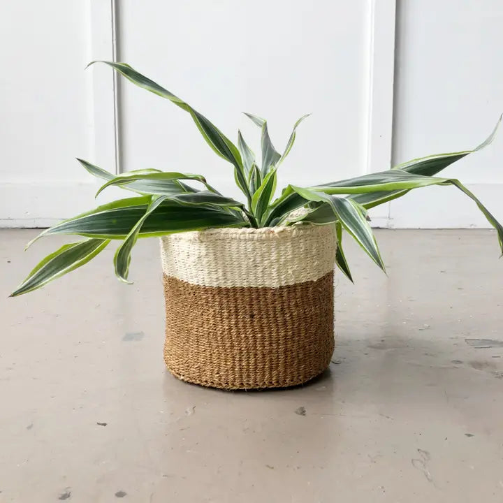 Coconut Storage Basket