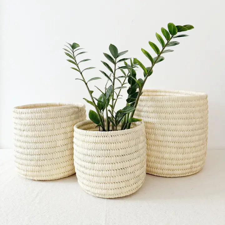 Christine Storage Plant Basket – Geometry Garden & Floral Shop