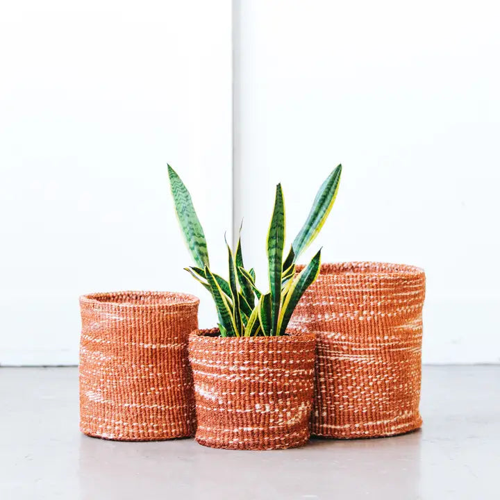 small woven baskets for plants Constellation Storage Basket – Geometry Garden & Floral Shop