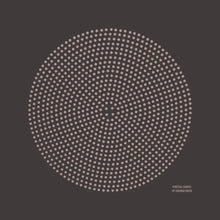 Load image into Gallery viewer, Limited Edition Botanical Dyed Bandana
