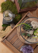 Load image into Gallery viewer, Terrarium Workshop, Sunday, June 8th @ 11am

