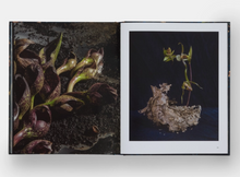 Load image into Gallery viewer, Emily Thompson Flowers

