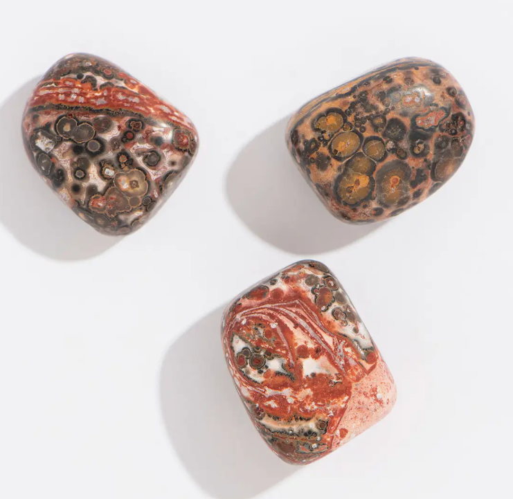 Leopard Jasper