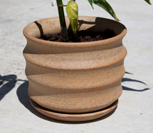 Load image into Gallery viewer, Scalloped Planter
