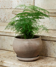 Load image into Gallery viewer, Delphi Planter
