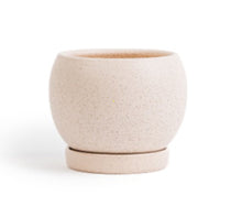 Load image into Gallery viewer, 6&quot; Bollè Planter
