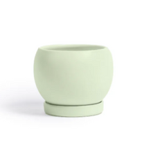 Load image into Gallery viewer, 6&quot; Bollè Planter
