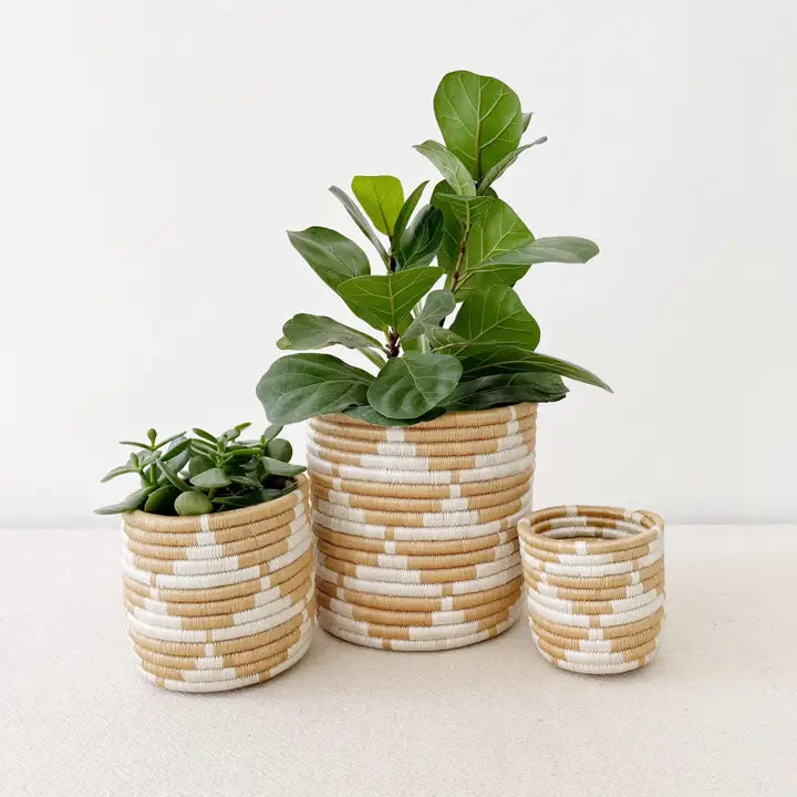 Zaza Storage Basket