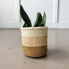 Load image into Gallery viewer, Coconut Storage Basket
