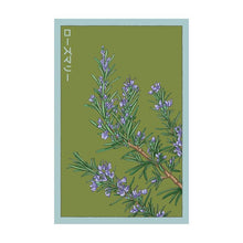 Load image into Gallery viewer, Shido Seeds Packet
