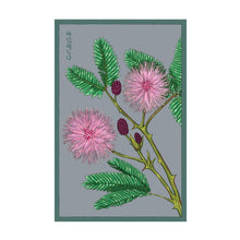 Load image into Gallery viewer, Shido Seeds Packet
