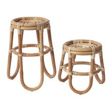 Load image into Gallery viewer, Barefoot Plant Stand
