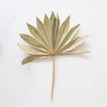 Load image into Gallery viewer, Dried Sun Palms
